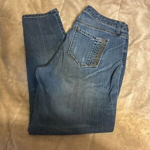 Bandolino Women’s Jeans